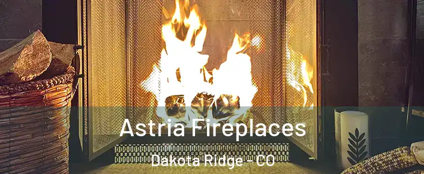  Astria Fireplaces Dakota Ridge - CO
