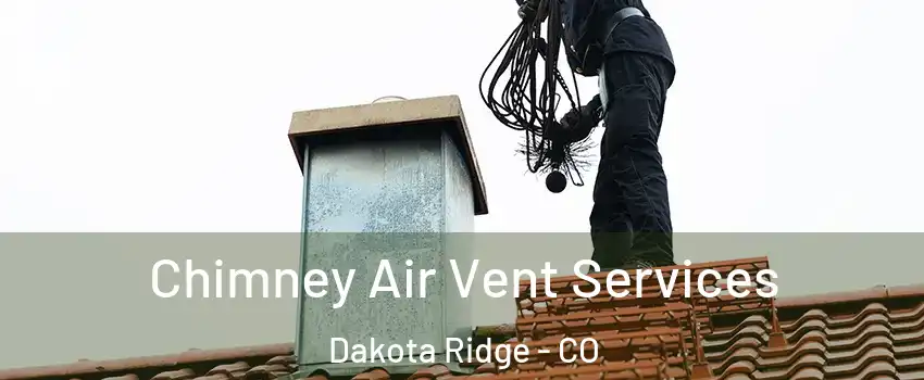  Chimney Air Vent Services Dakota Ridge - CO