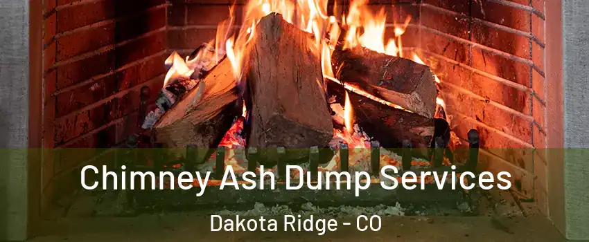  Chimney Ash Dump Services Dakota Ridge - CO