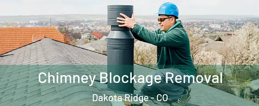  Chimney Blockage Removal Dakota Ridge - CO