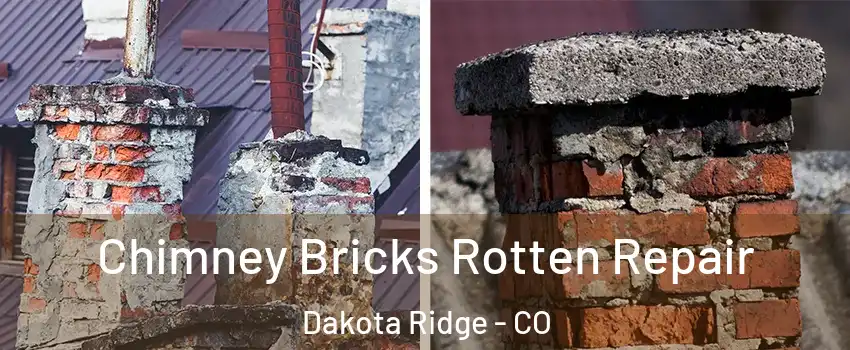  Chimney Bricks Rotten Repair Dakota Ridge - CO