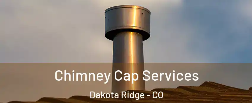  Chimney Cap Services Dakota Ridge - CO