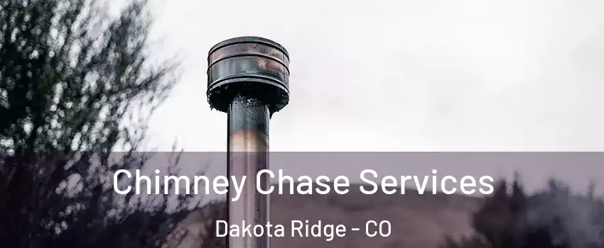  Chimney Chase Services Dakota Ridge - CO