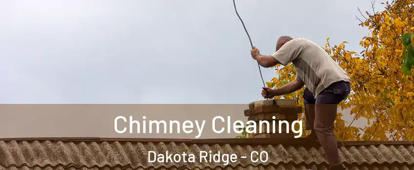  Chimney Cleaning Dakota Ridge - CO