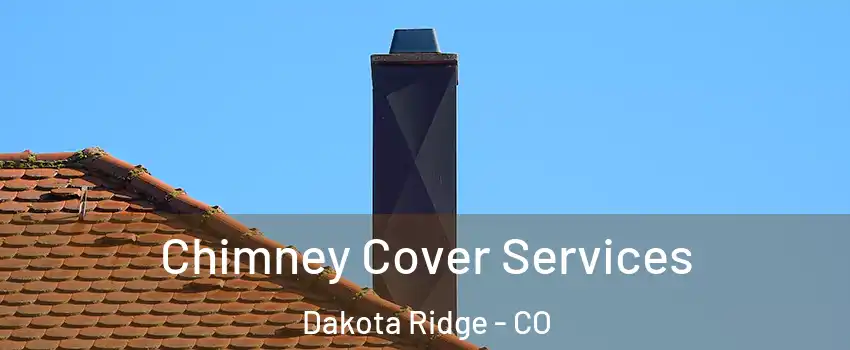  Chimney Cover Services Dakota Ridge - CO
