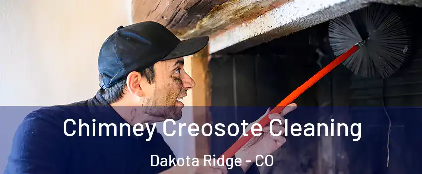  Chimney Creosote Cleaning Dakota Ridge - CO