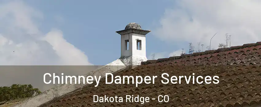  Chimney Damper Services Dakota Ridge - CO