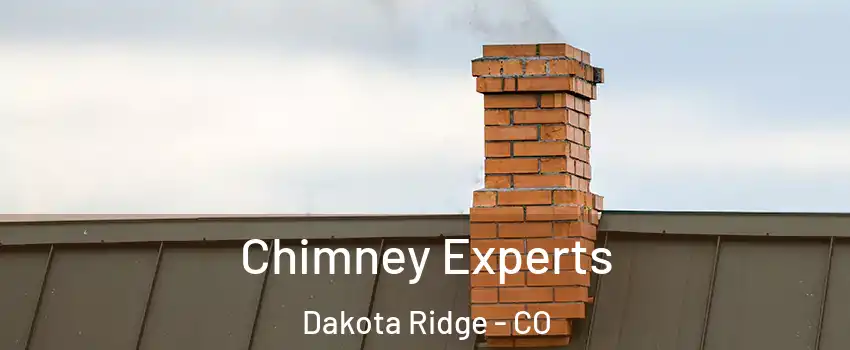  Chimney Experts Dakota Ridge - CO