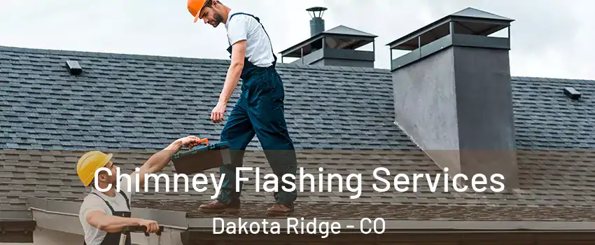  Chimney Flashing Services Dakota Ridge - CO