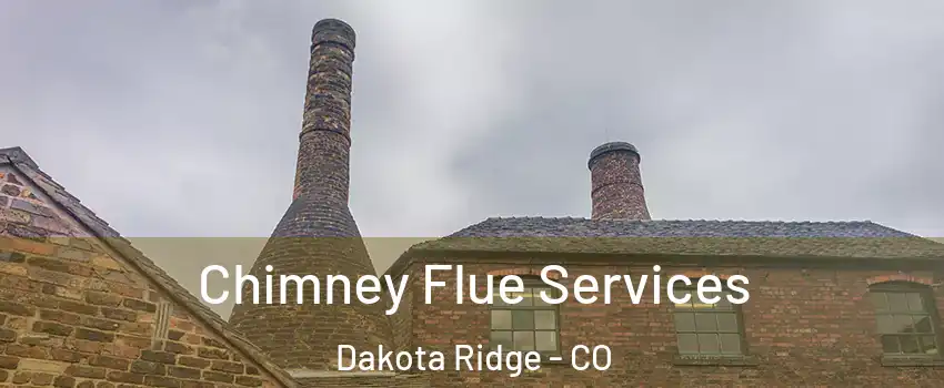  Chimney Flue Services Dakota Ridge - CO