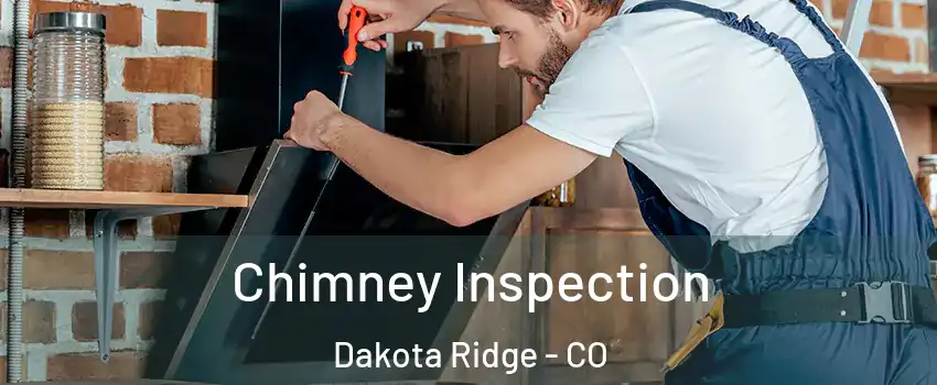  Chimney Inspection Dakota Ridge - CO