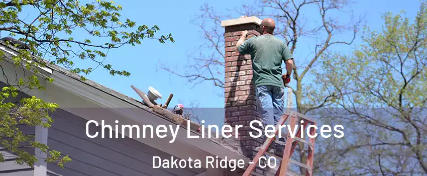  Chimney Liner Services Dakota Ridge - CO