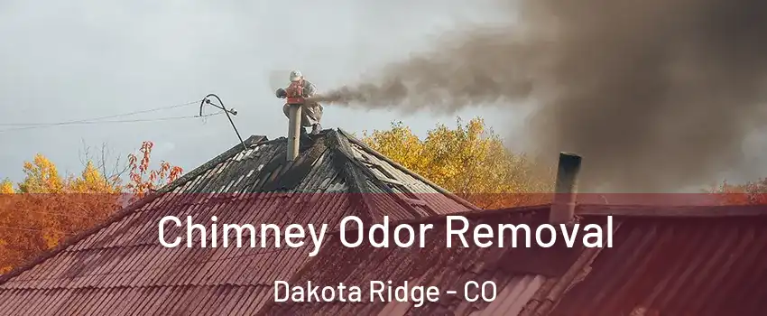  Chimney Odor Removal Dakota Ridge - CO