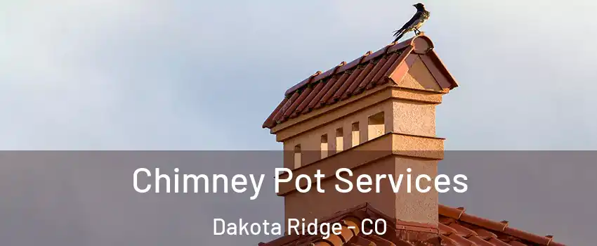  Chimney Pot Services Dakota Ridge - CO