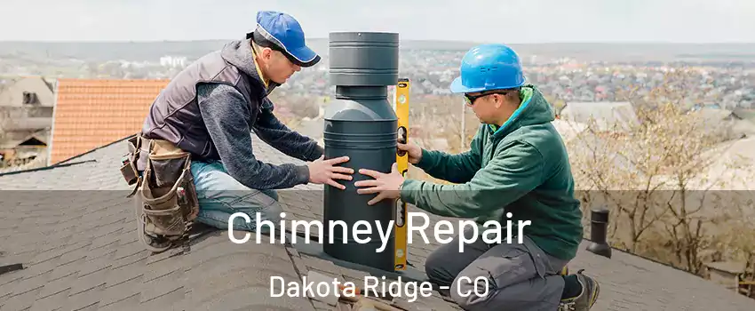  Chimney Repair Dakota Ridge - CO