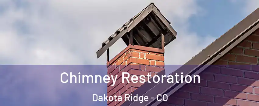  Chimney Restoration Dakota Ridge - CO