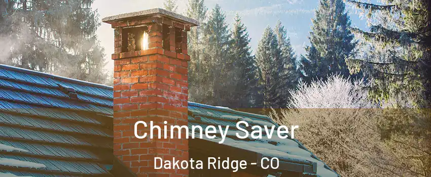  Chimney Saver Dakota Ridge - CO