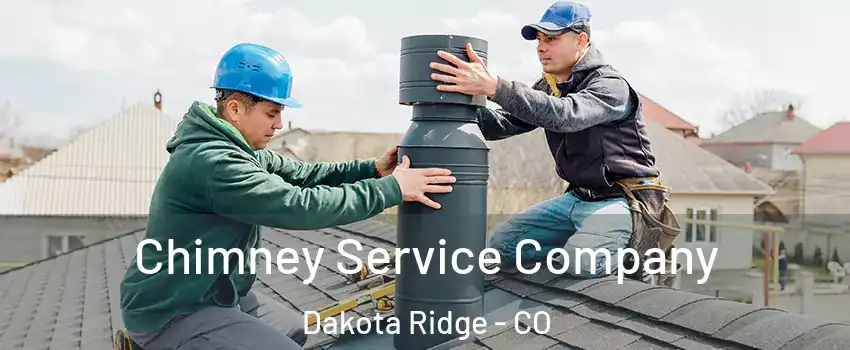  Chimney Service Company Dakota Ridge - CO