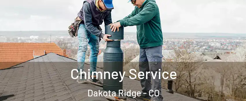  Chimney Service Dakota Ridge - CO
