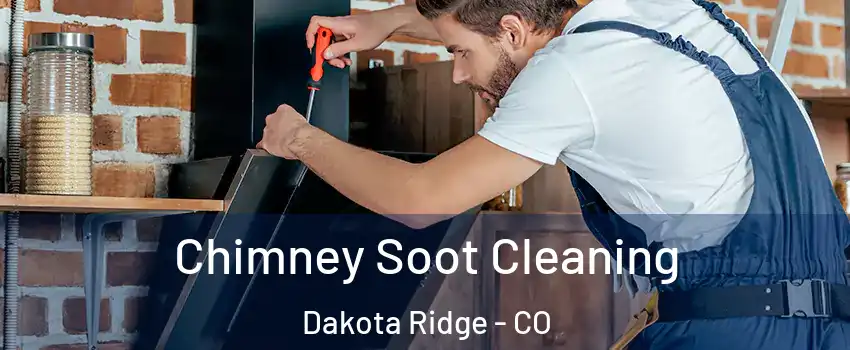  Chimney Soot Cleaning Dakota Ridge - CO