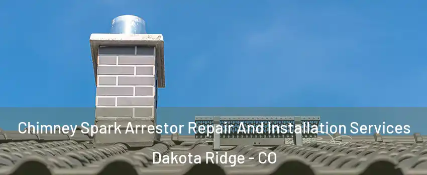  Chimney Spark Arrestor Repair And Installation Services Dakota Ridge - CO