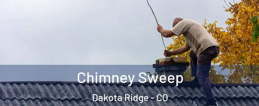  Chimney Sweep Dakota Ridge - CO