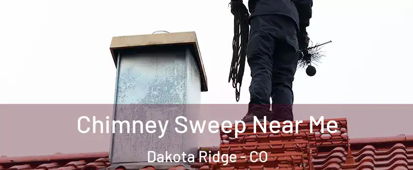  Chimney Sweep Near Me Dakota Ridge - CO