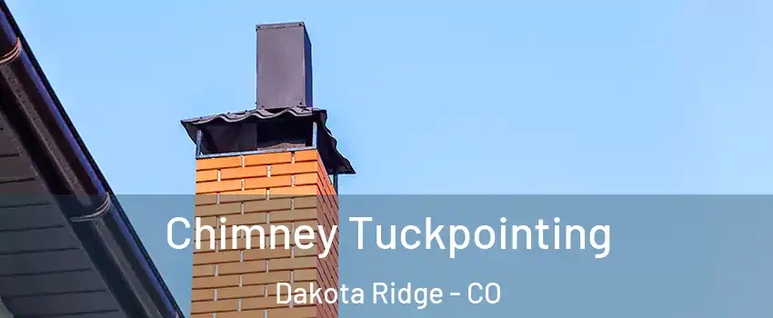  Chimney Tuckpointing Dakota Ridge - CO