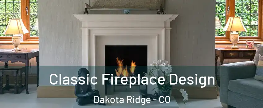  Classic Fireplace Design Dakota Ridge - CO