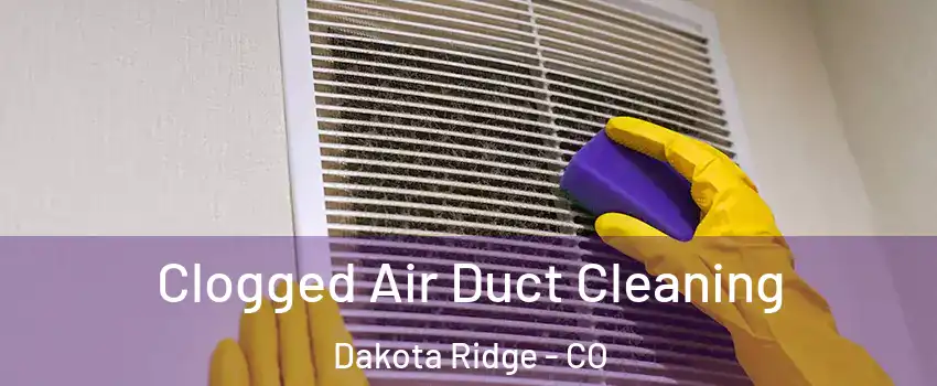  Clogged Air Duct Cleaning Dakota Ridge - CO