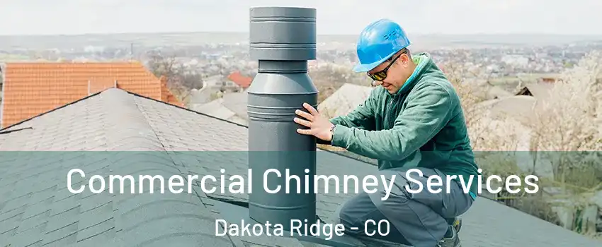  Commercial Chimney Services Dakota Ridge - CO