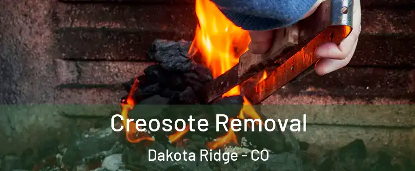  Creosote Removal Dakota Ridge - CO