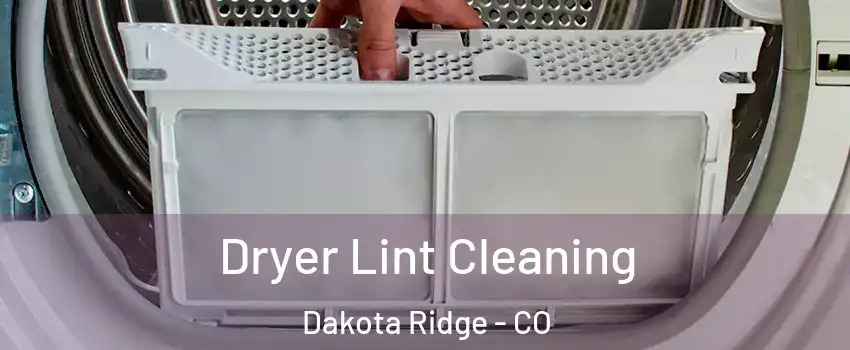  Dryer Lint Cleaning Dakota Ridge - CO