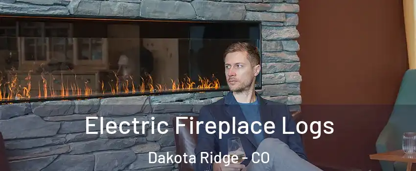  Electric Fireplace Logs Dakota Ridge - CO