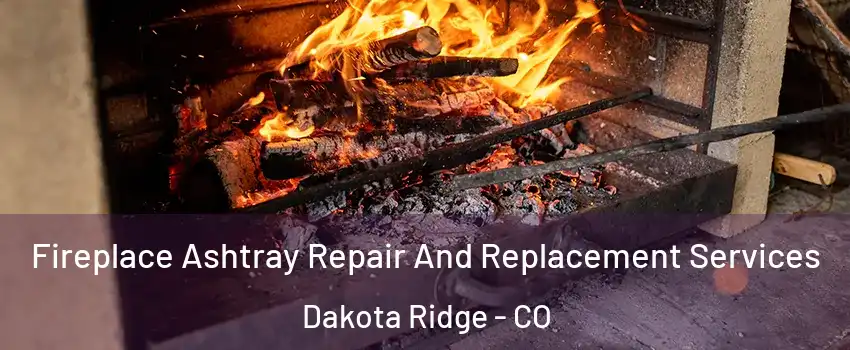  Fireplace Ashtray Repair And Replacement Services Dakota Ridge - CO