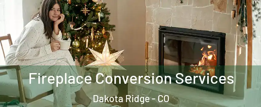  Fireplace Conversion Services Dakota Ridge - CO