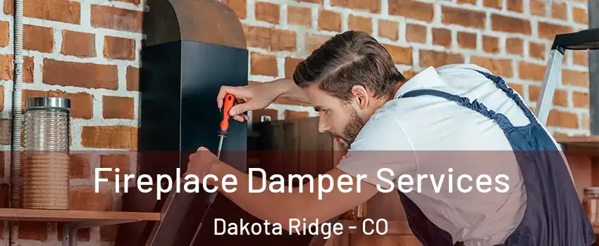  Fireplace Damper Services Dakota Ridge - CO