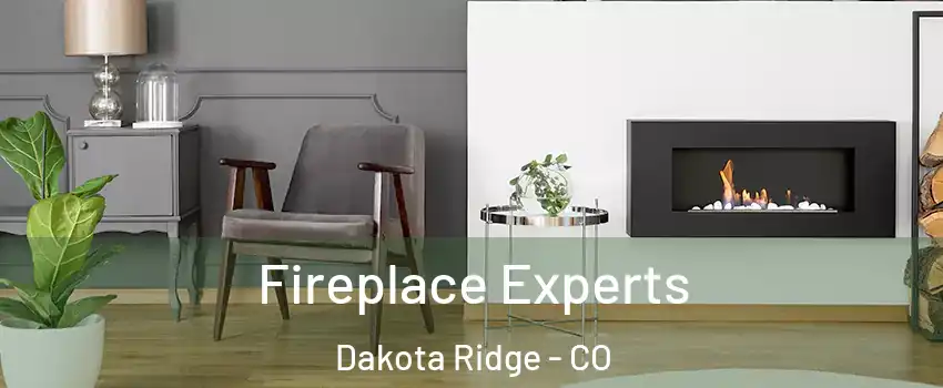  Fireplace Experts Dakota Ridge - CO