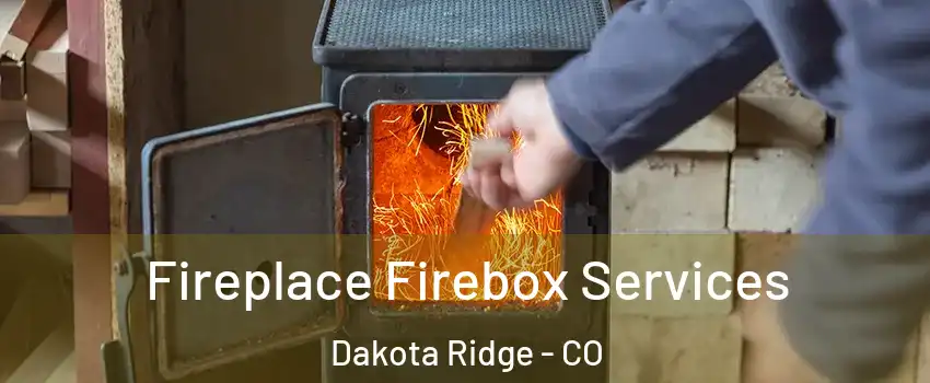  Fireplace Firebox Services Dakota Ridge - CO