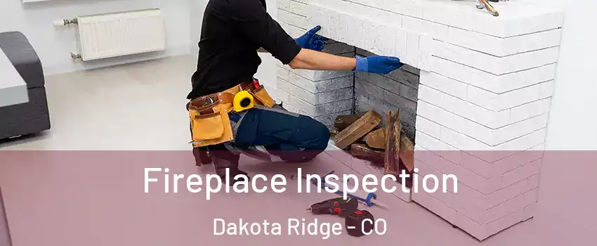  Fireplace Inspection Dakota Ridge - CO