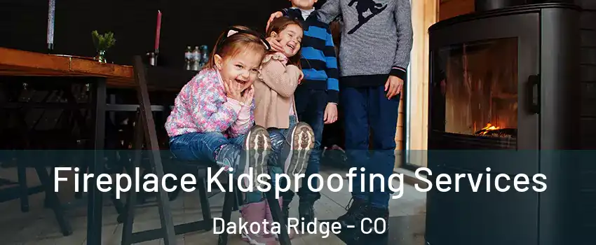  Fireplace Kidsproofing Services Dakota Ridge - CO