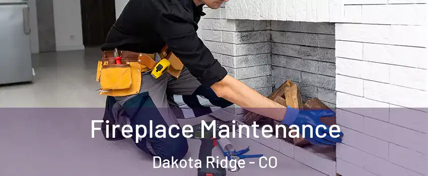 Fireplace Maintenance Dakota Ridge - CO