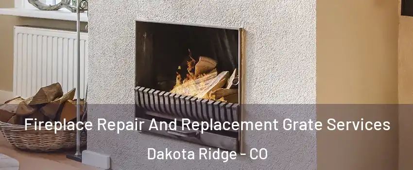  Fireplace Repair And Replacement Grate Services Dakota Ridge - CO