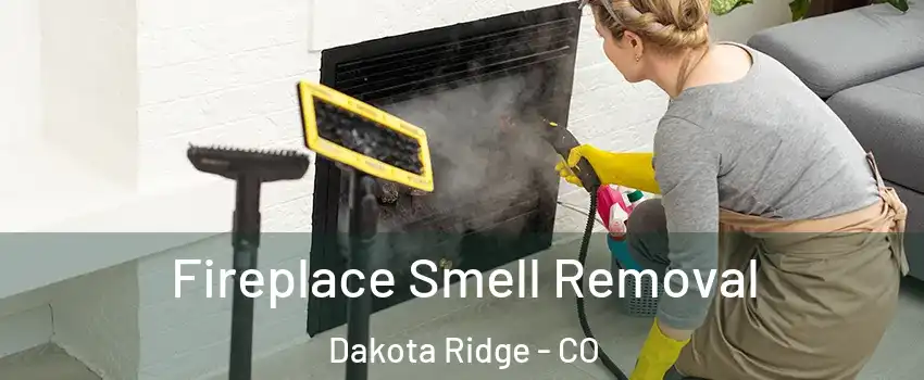  Fireplace Smell Removal Dakota Ridge - CO