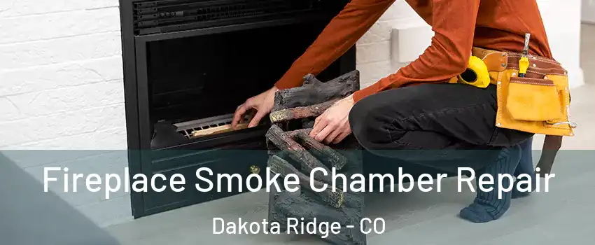  Fireplace Smoke Chamber Repair Dakota Ridge - CO