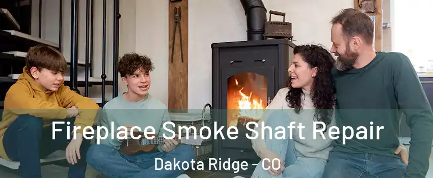  Fireplace Smoke Shaft Repair Dakota Ridge - CO