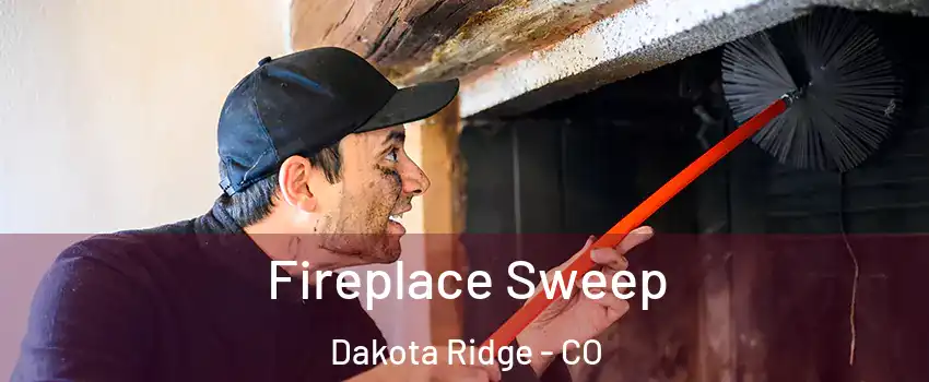  Fireplace Sweep Dakota Ridge - CO