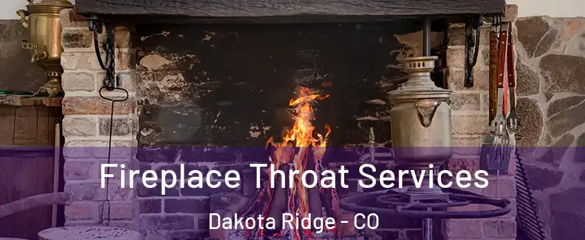 Fireplace Throat Services Dakota Ridge - CO