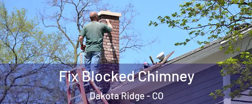  Fix Blocked Chimney Dakota Ridge - CO