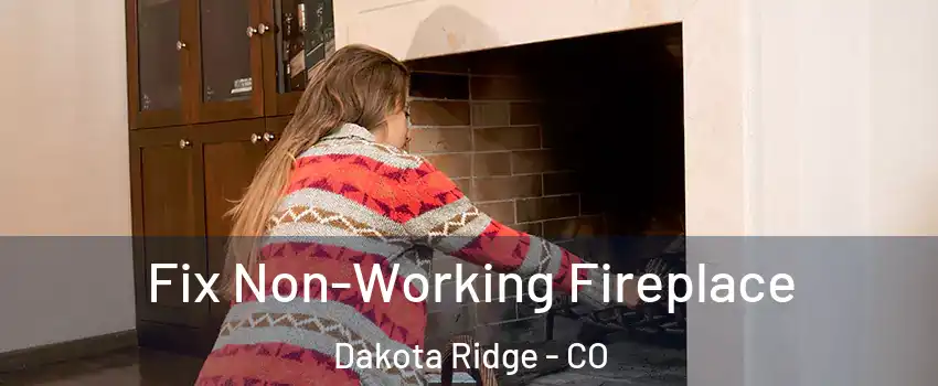  Fix Non-Working Fireplace Dakota Ridge - CO